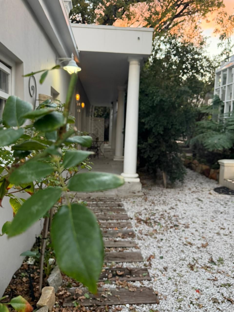 Walkway through the garden at dusk