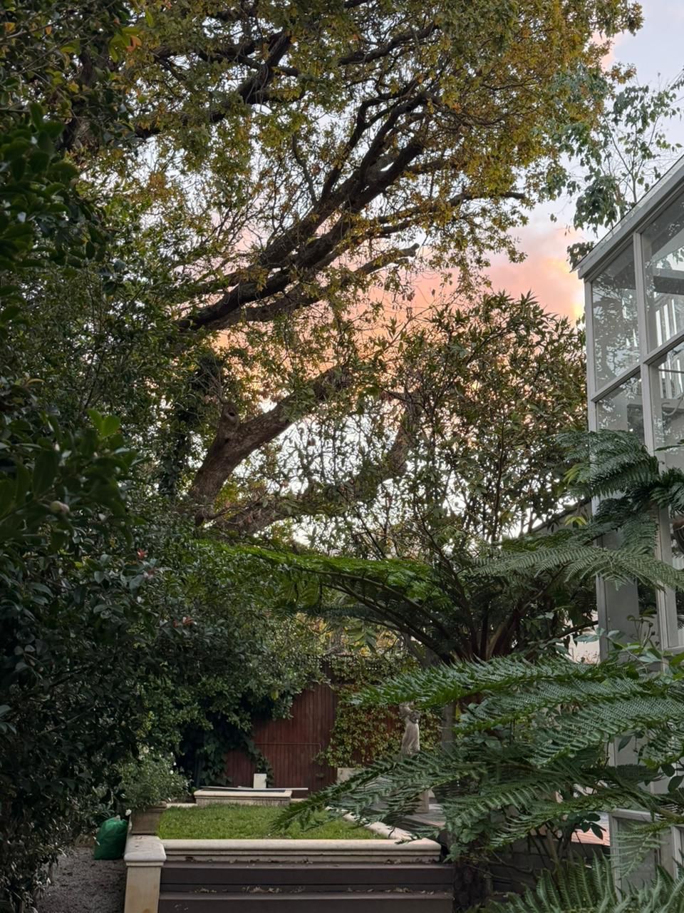 Lush garden and sunset sky